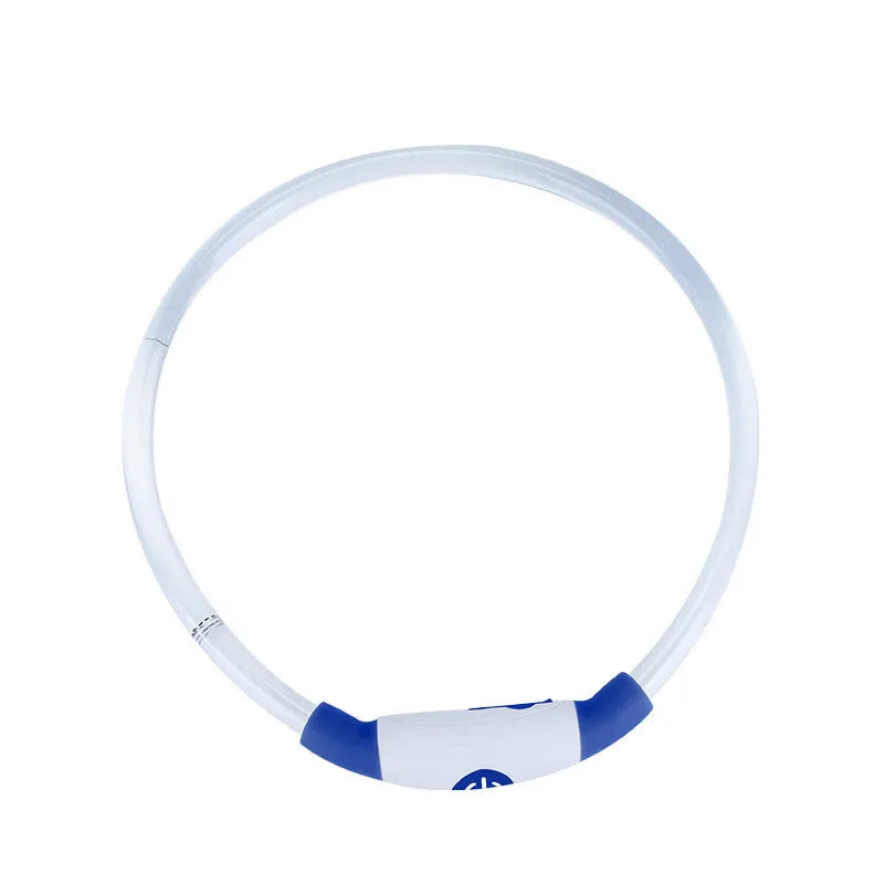 Blue USB rechargeable LED dog collar glowing on a dog's neck at night.