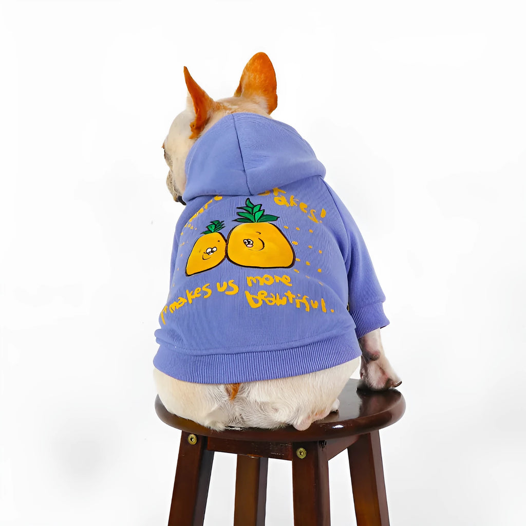 Blue and purple cotton pet hoodie with cartoon print for winter wear