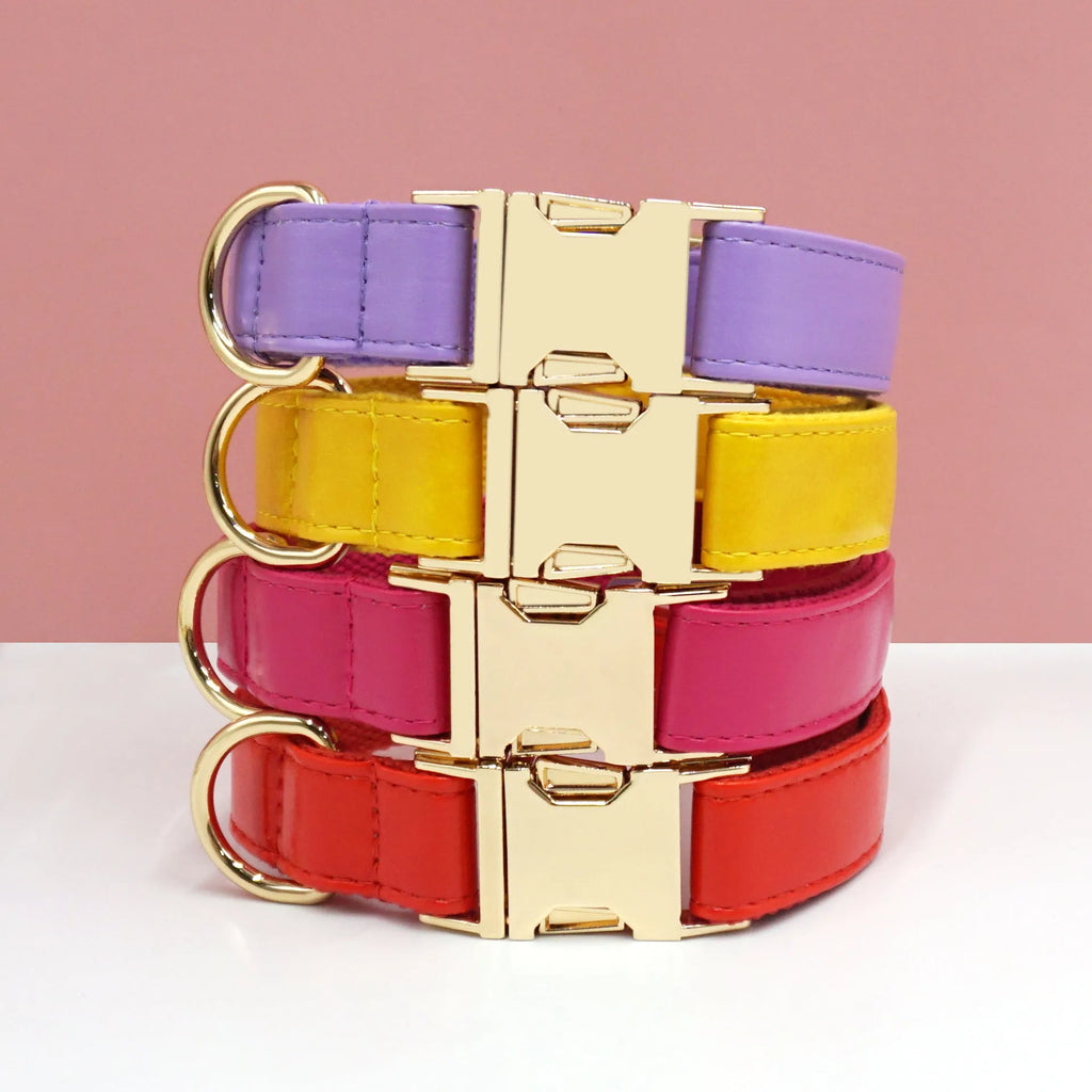 Leather dog collar with velvet finish and brass metal buckle in caramel colour option