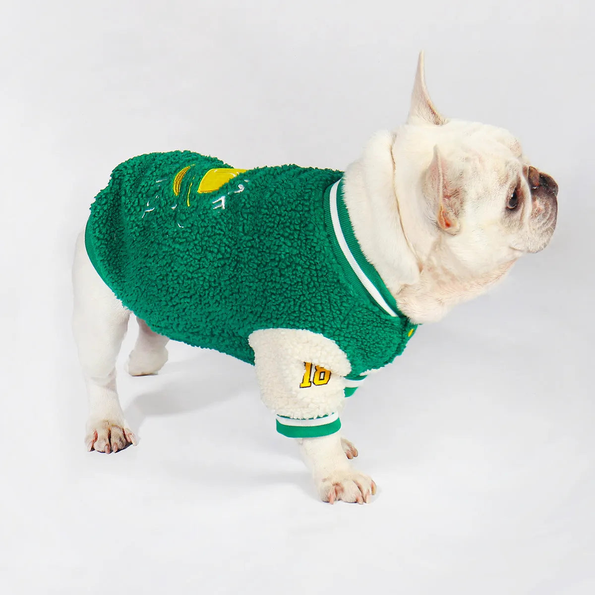 Green fleece-lined cotton dog winter coat showing front view on mannequin