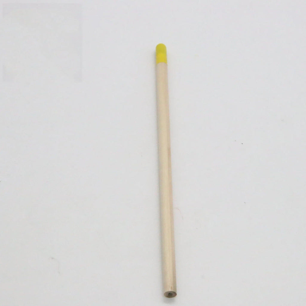 Seed Pencil plantable growing pencil with degradable capsule containing flower and vegetable seeds