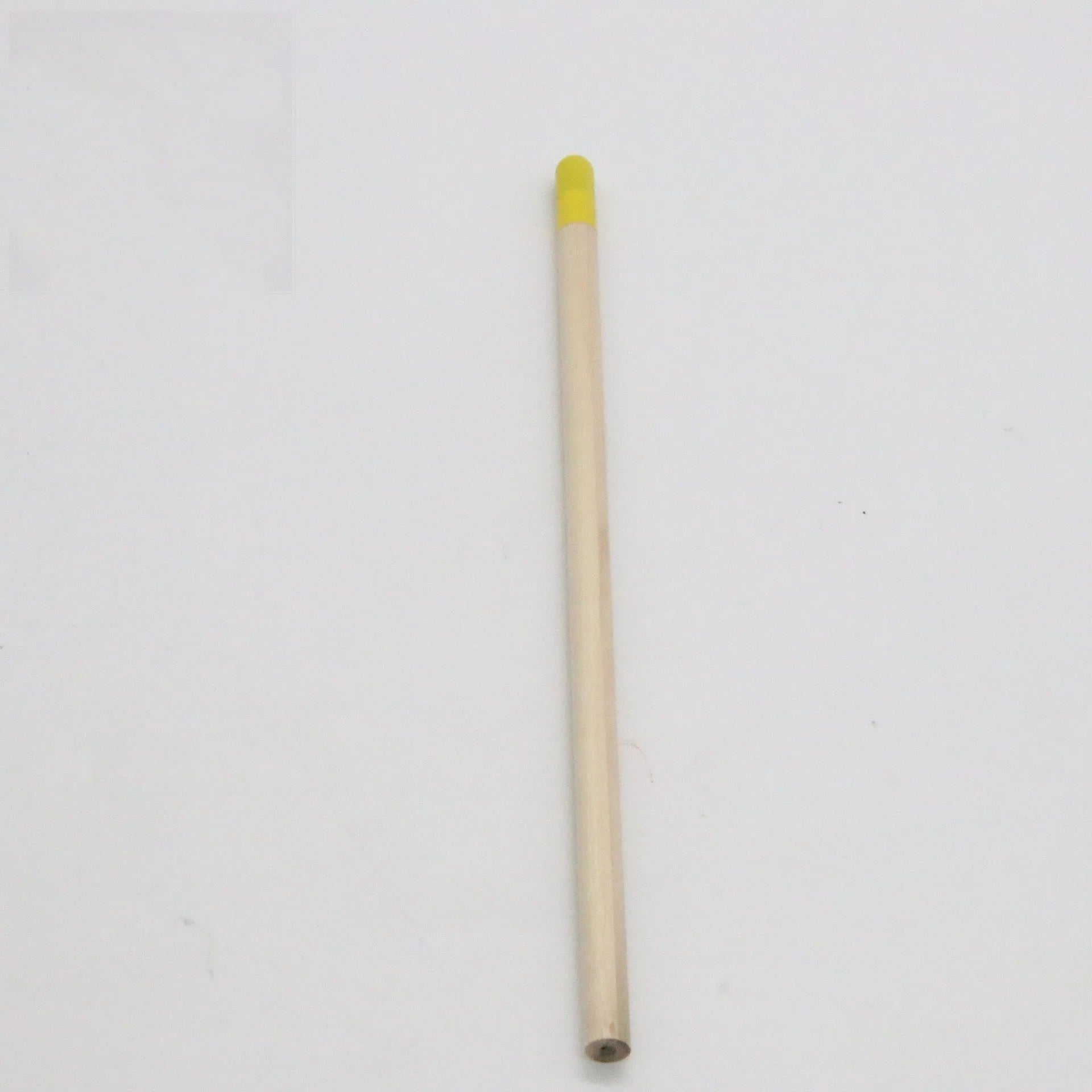 Seed Pencil plantable growing pencil with degradable capsule containing flower and vegetable seeds