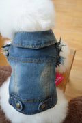 Denim dog vest with retro scratch pattern for small breeds in dark and light colours