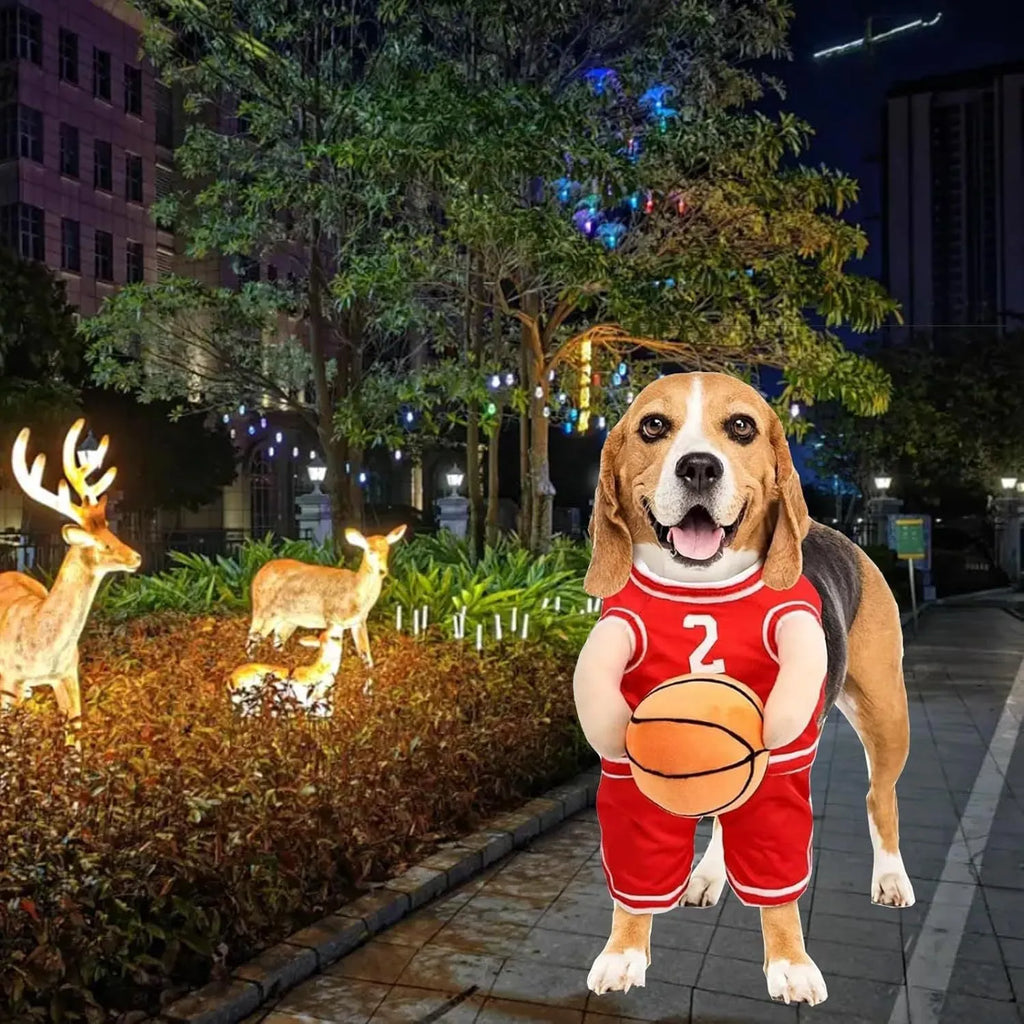 Dog basketball player costume in red or yellow with padded arms and toy basketball, S M L sizes