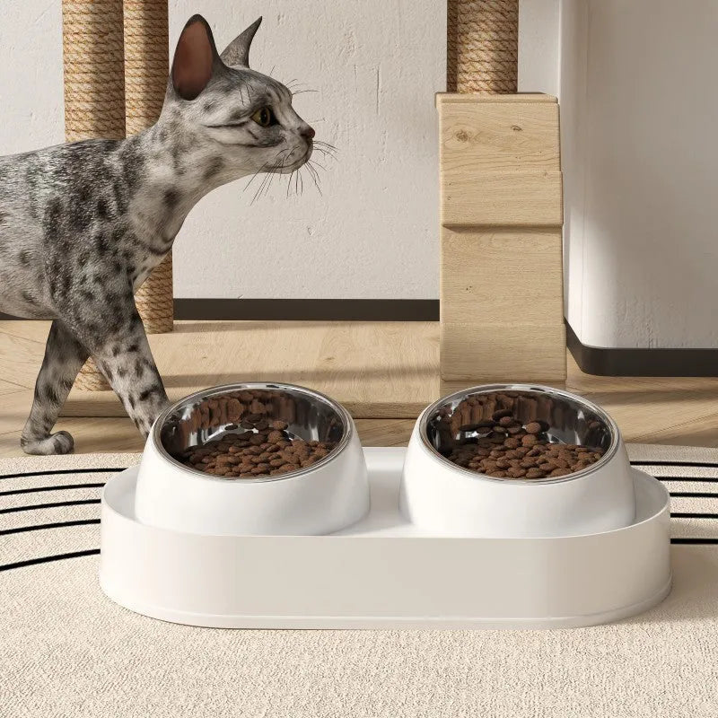 White elevated pet feeder with two tilted bowls on a wide base, for cats and small dogs.