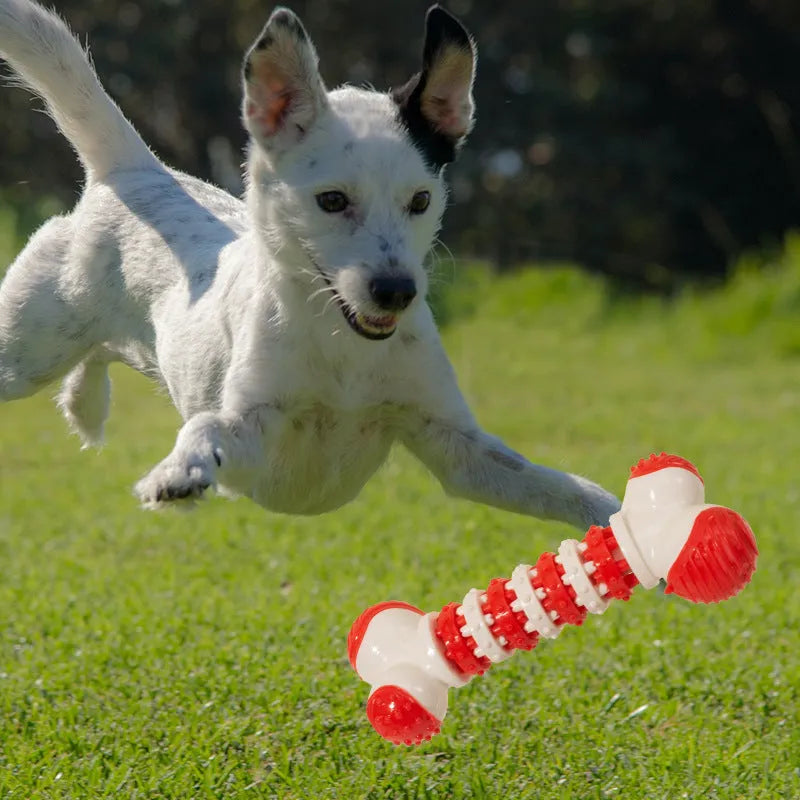 Blue, orange, and red bone-shaped interactive dog chew toy with textured ends and treat compartment.