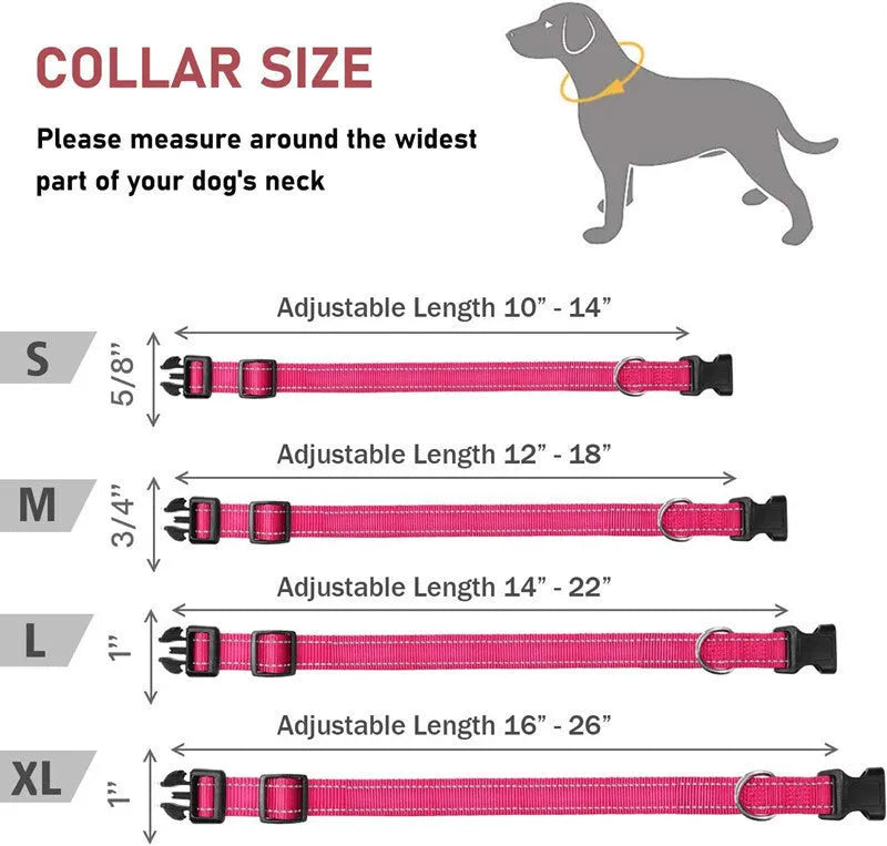 Adjustable nylon dog collar with chest strap in multiple colour options