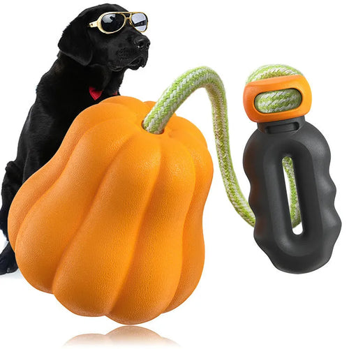 Orange Bite Molar plastic dog toy with rope, shown on grass for outdoor use.