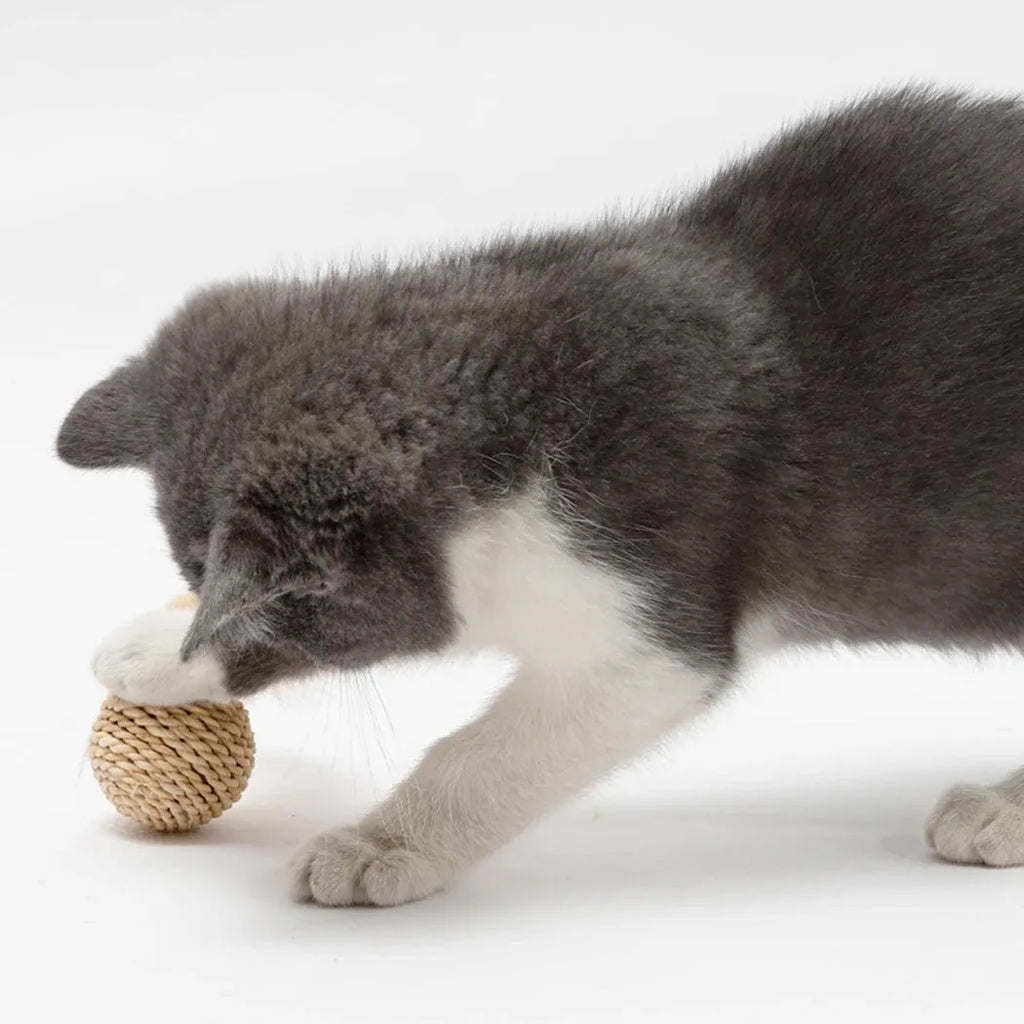 Two cat toy balls: one rattan ball and one faux feather ball with bell on a plain background.