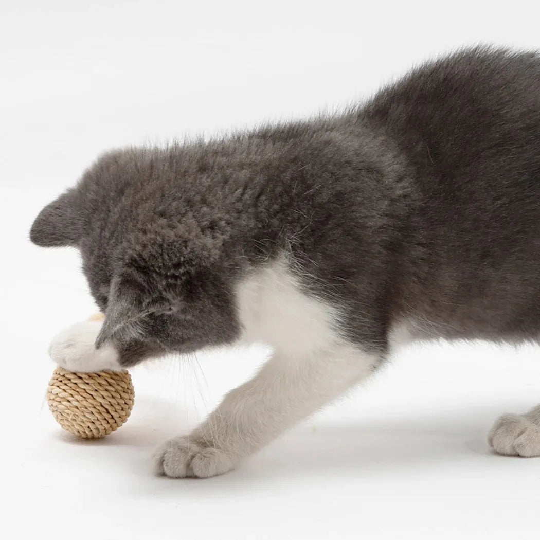 Two cat toy balls: one rattan ball and one faux feather ball with bell on a plain background.