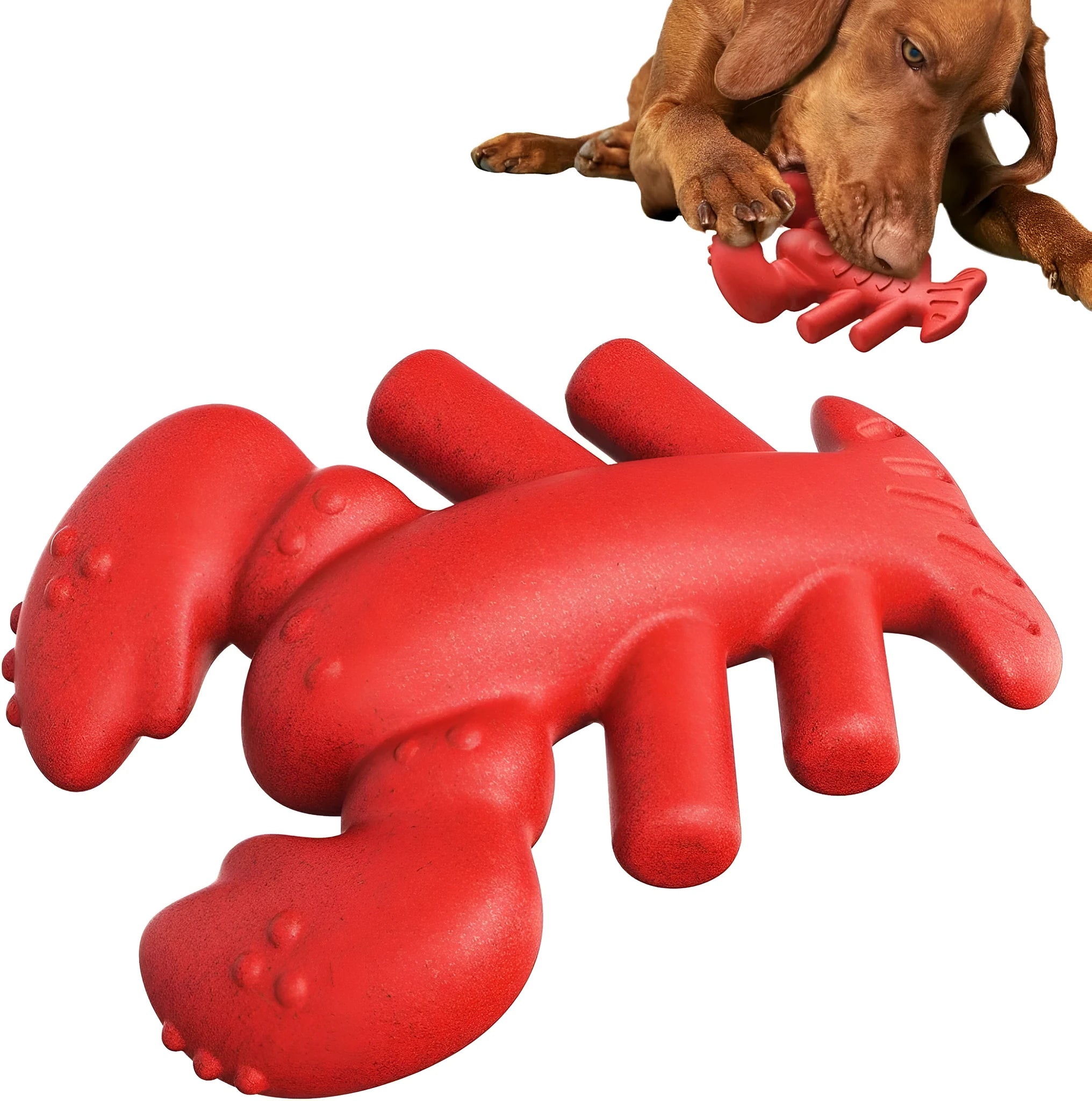 Large red nylon bone-shaped chew toy for aggressive chewing big dogs on a white background.