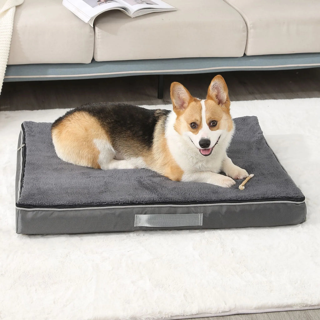 Brown removable washable memory sponge dog mat showing 10cm thickness