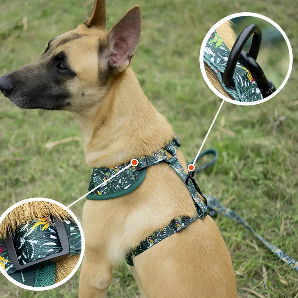 Six-piece adjustable cloth dog harness set with collar, lead, waste bag, bow, and triangular scarf.