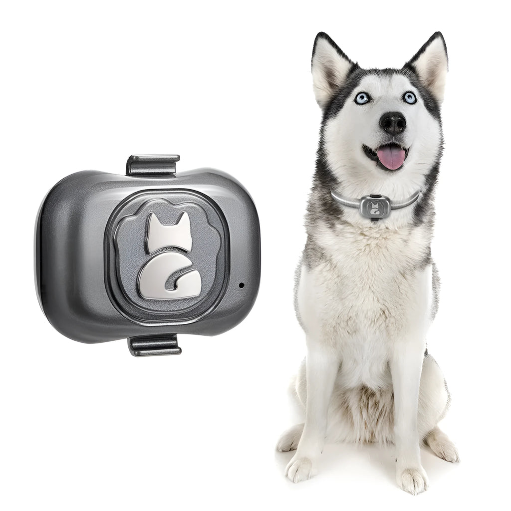 Black pet GPS locator device with hanging rope for collar attachment
