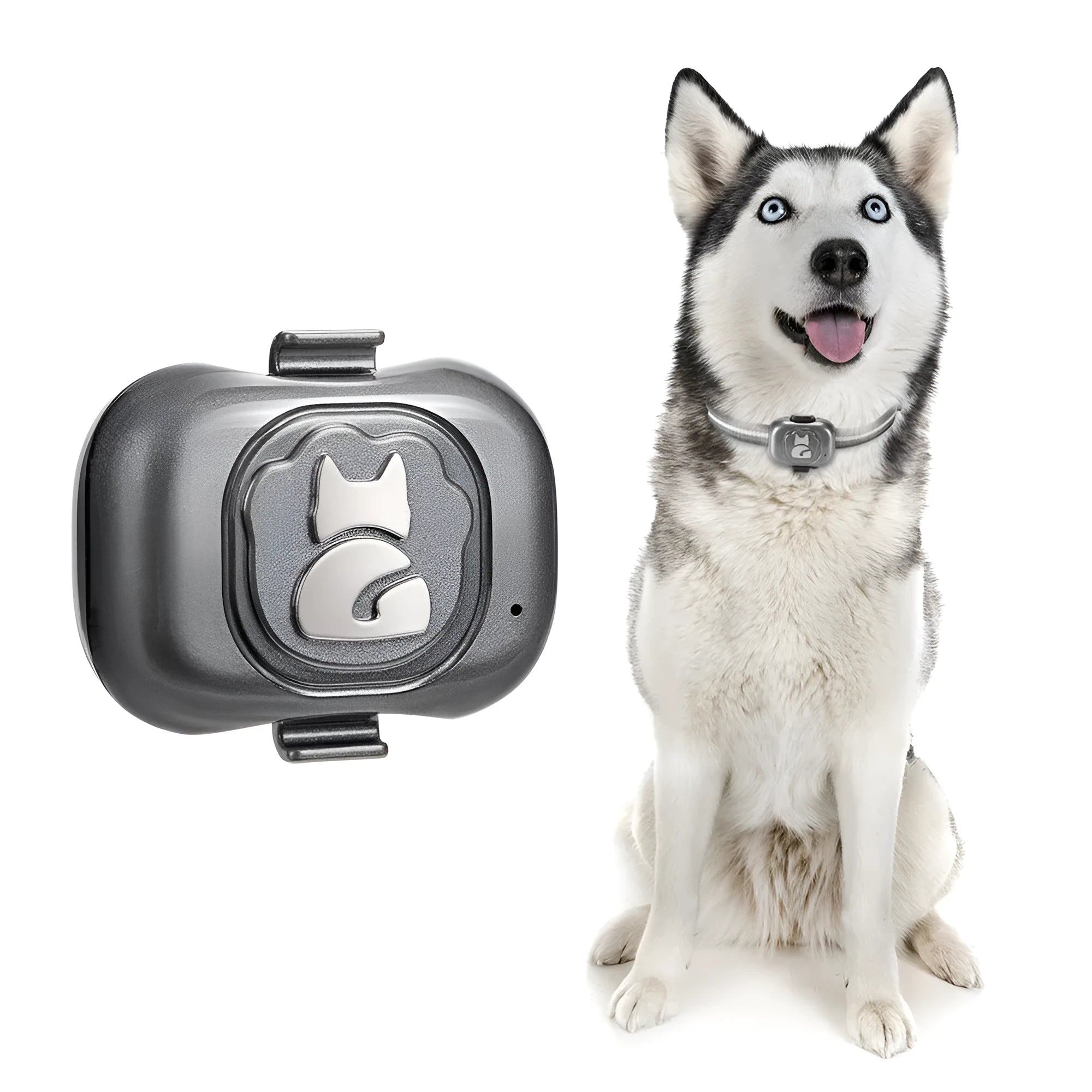 Black pet GPS locator device with hanging rope for collar attachment