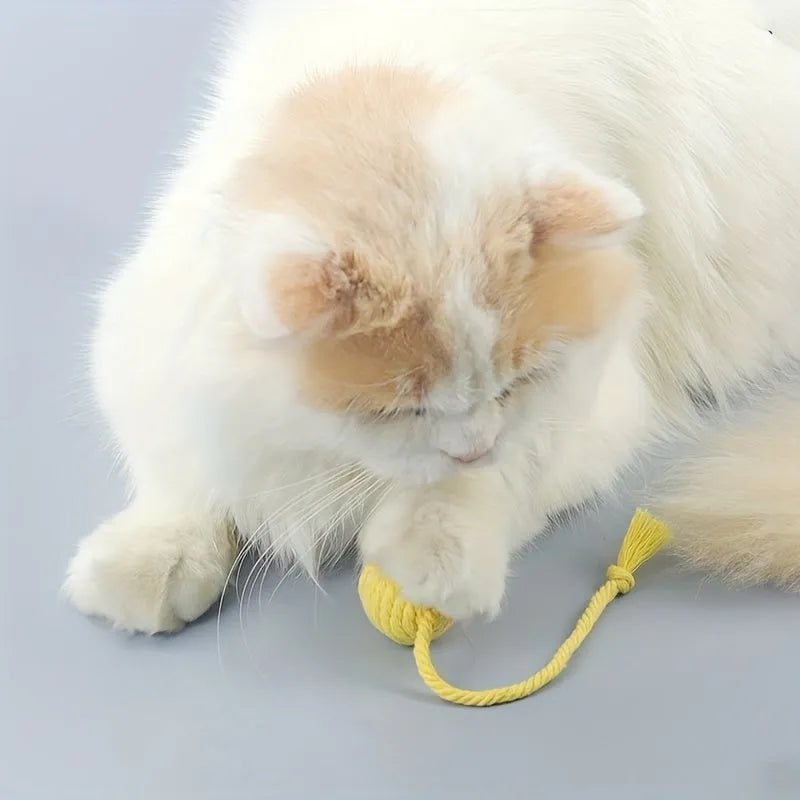 Colourful cat toy ball with an attached rope, shown in green, pink, purple, and yellow.
