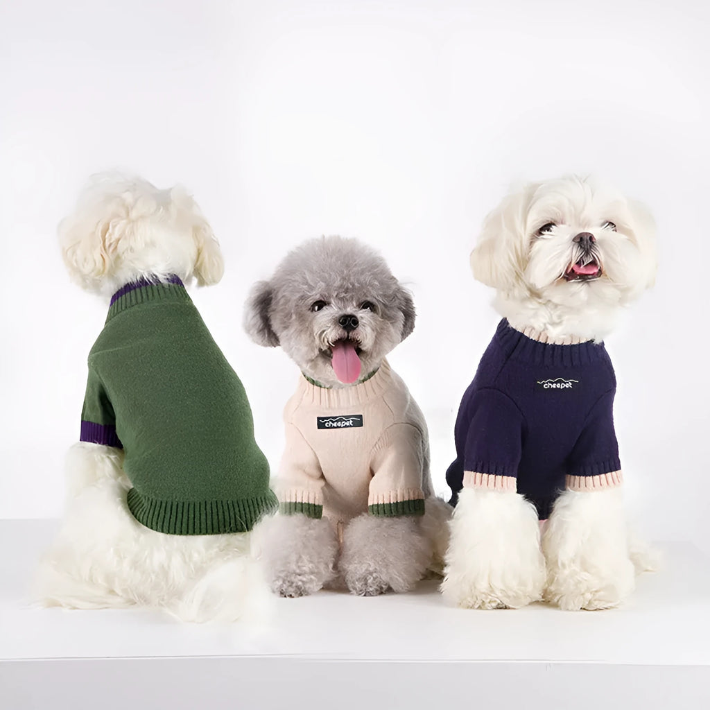 British style wool dog sweater with contrasting colours in sizes S to XXL for winter warmth