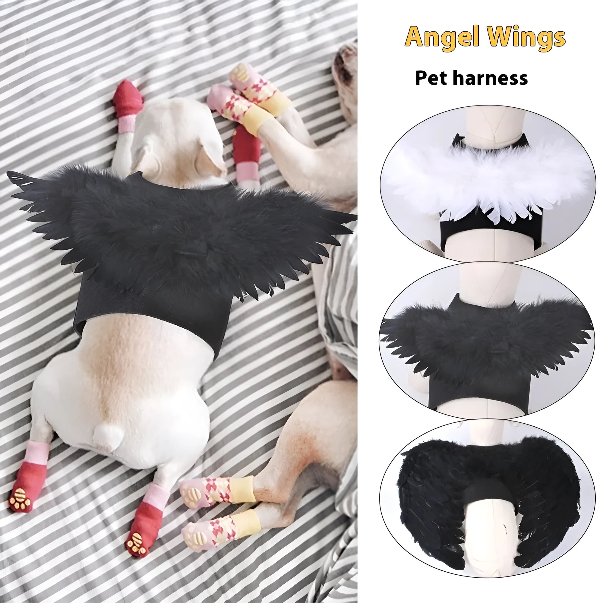 Black and white Halloween angel wings costume for dogs on chest and back.