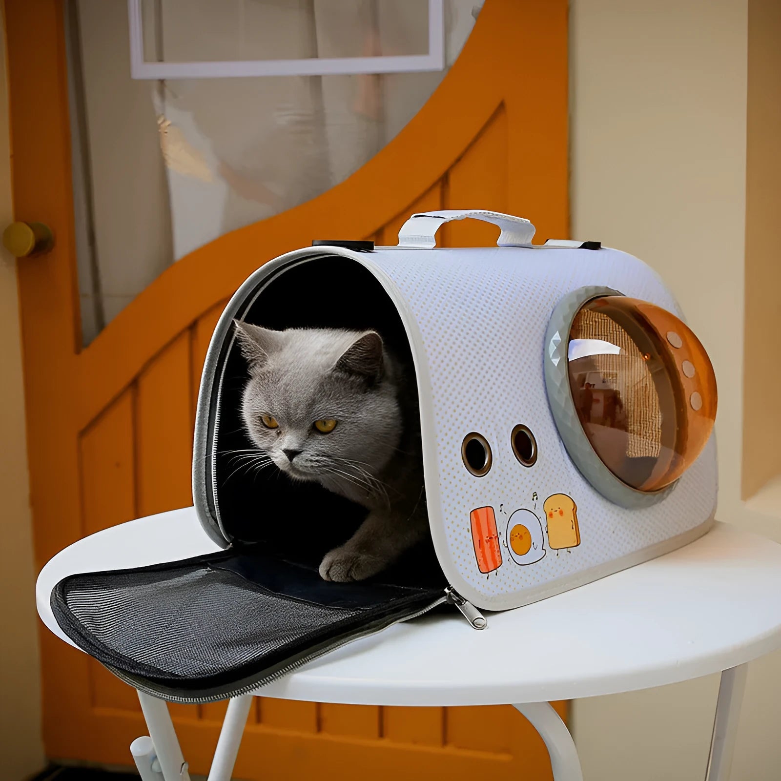 Transparent nylon pet carry bag with cartoon pattern and carrying handle
