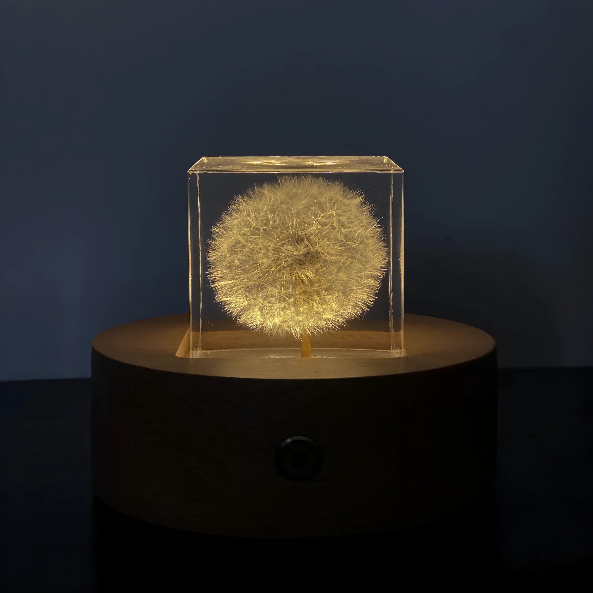 5cm clear resin cube with preserved dandelion flower beside wooden display box and USB charging base