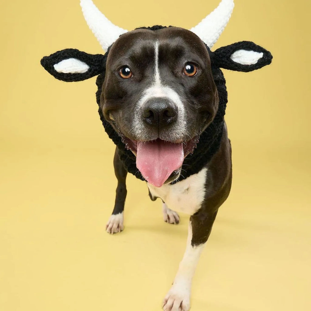 Black Cow knitted acrylic dog hat, thermal windproof jacquard pet hat in sizes S M L for four seasons