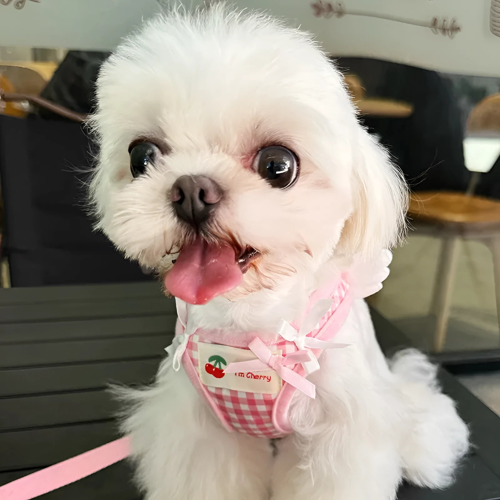 Soft cotton chest and back harness for a small dog, with hand-holding rope, shown in pink colour.