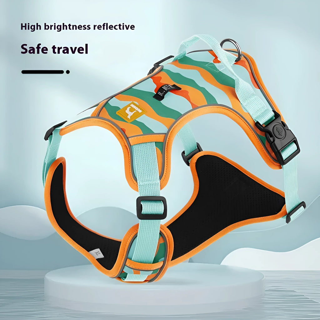 Reflective orange dog harness and lead set with chest and back straps held in a hand.