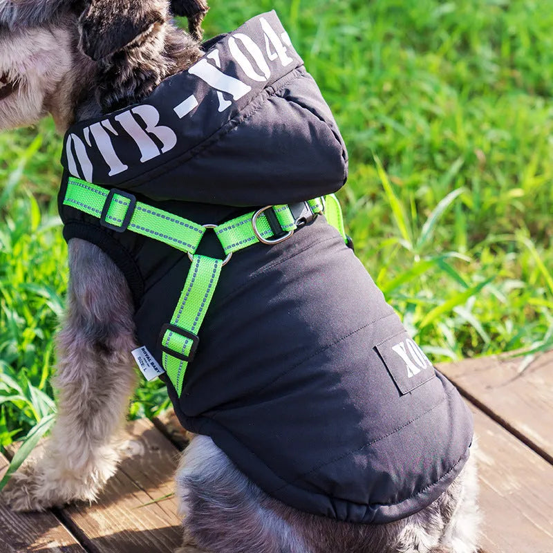Red fleece-lined waterproof winter dog jacket with hood on medium-sized dog outdoors