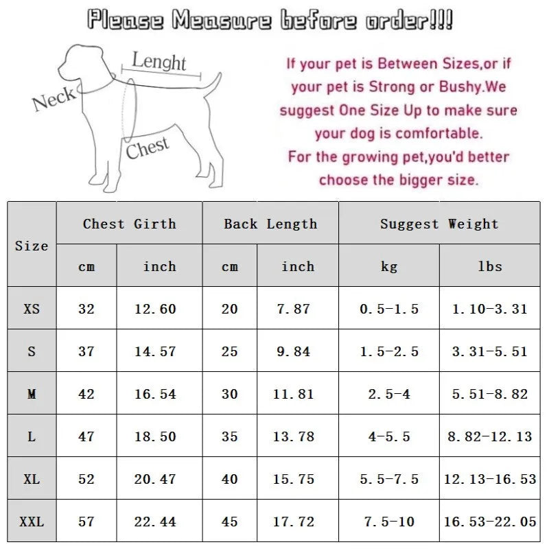 Warm velvet two-legged pet clothing with pockets, blue and brown, for small dogs and cats