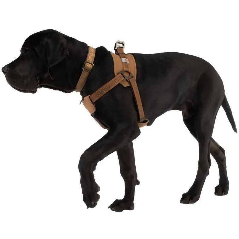 Dog training chest strap harness and reflective hand holding rope laid out, showing the 1.8 metre lead length.