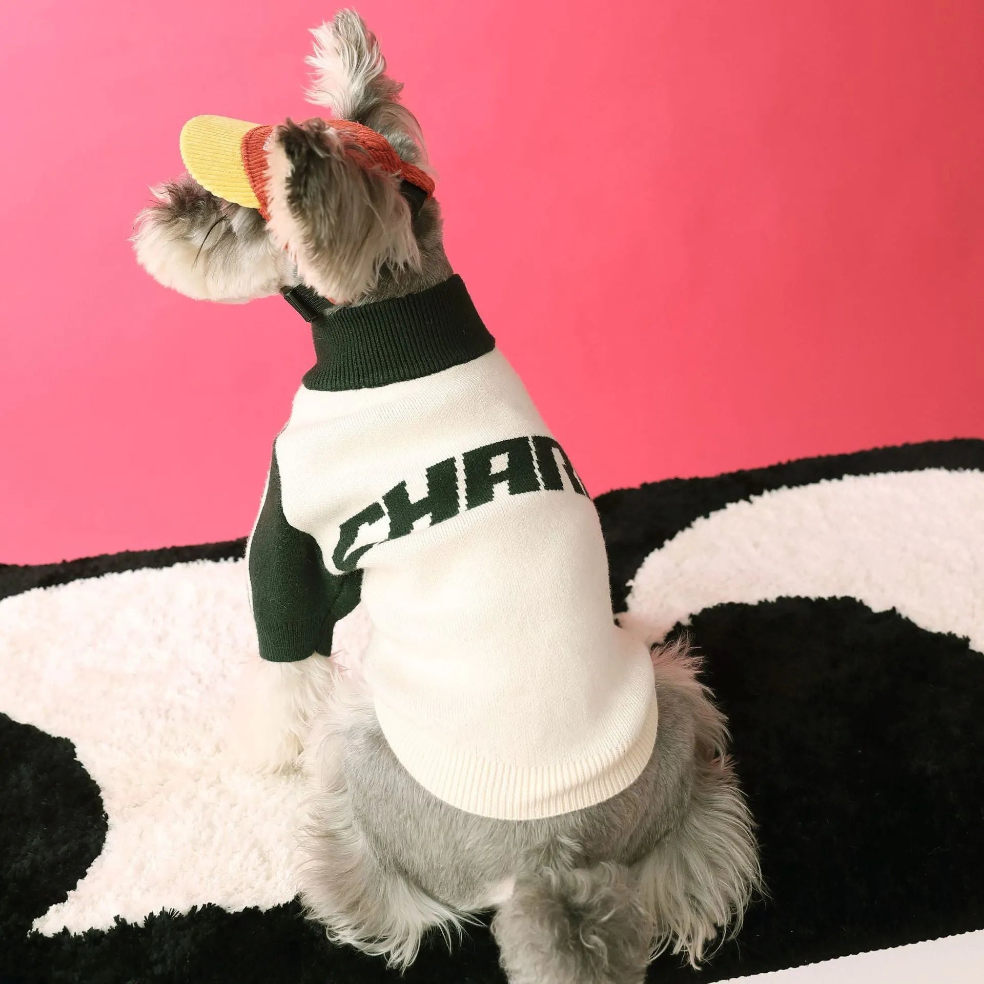 Red wool blend dog sweater cardigan on canine model showing casual sports-style design