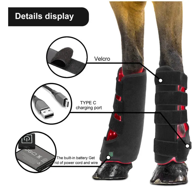 Black portable red light infrared horse leg physiotherapy instrument with 100-240V voltage and 55W power