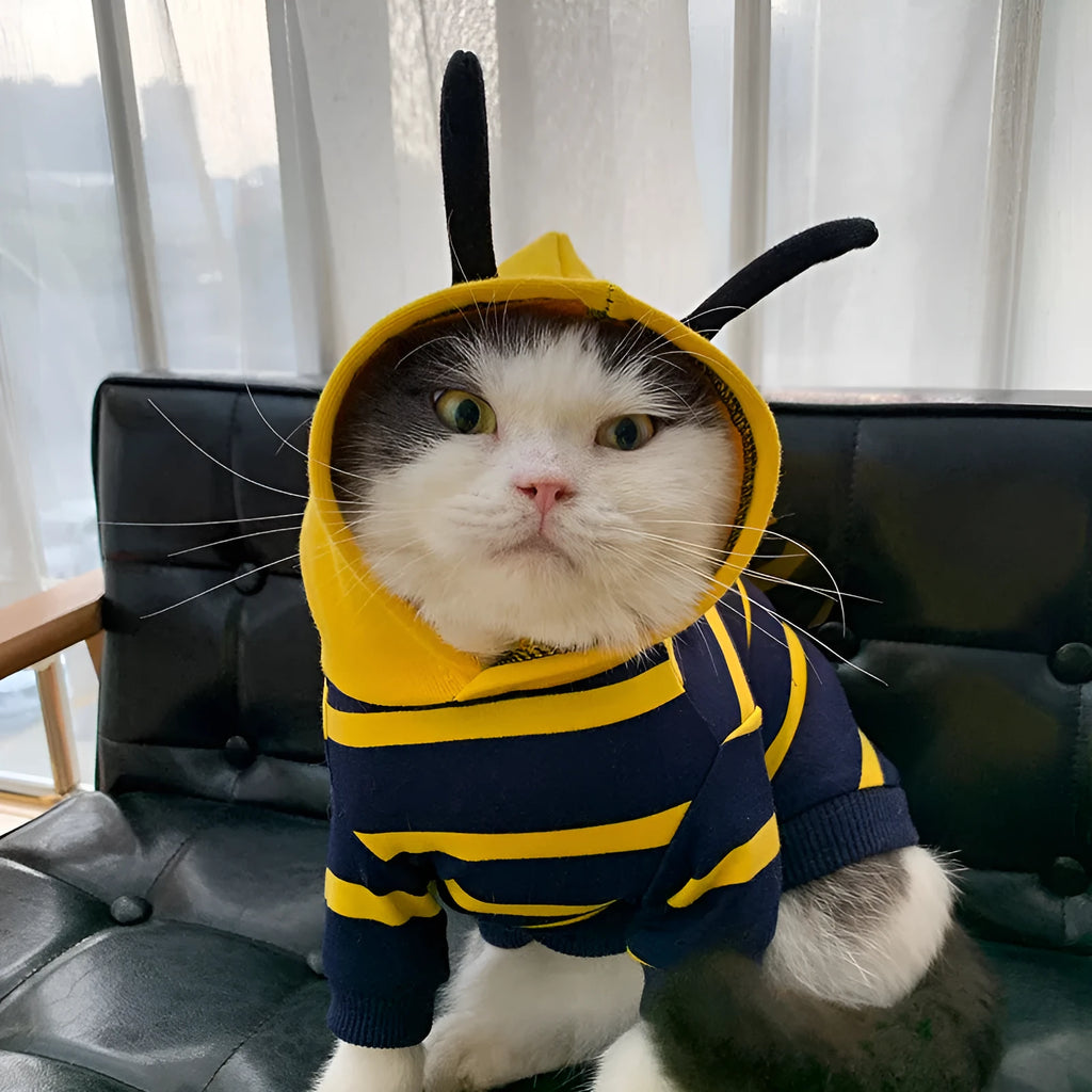 Plush bee dog hoodie in yellow striped cotton, winter pet coat for bulldog puppy cat, sizes XS to XXXL.