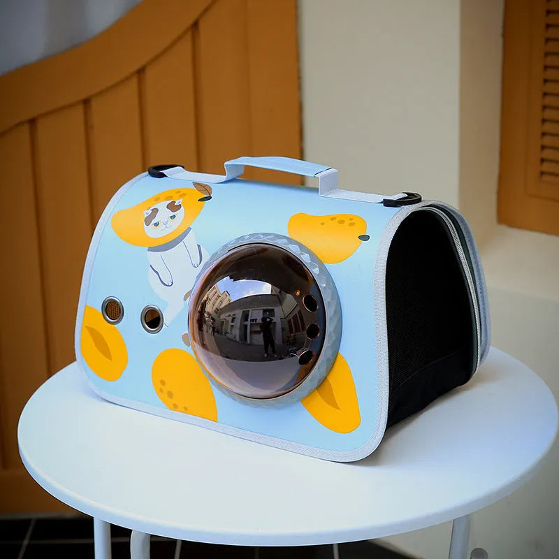 Transparent nylon pet carry bag with cartoon pattern and carrying handle