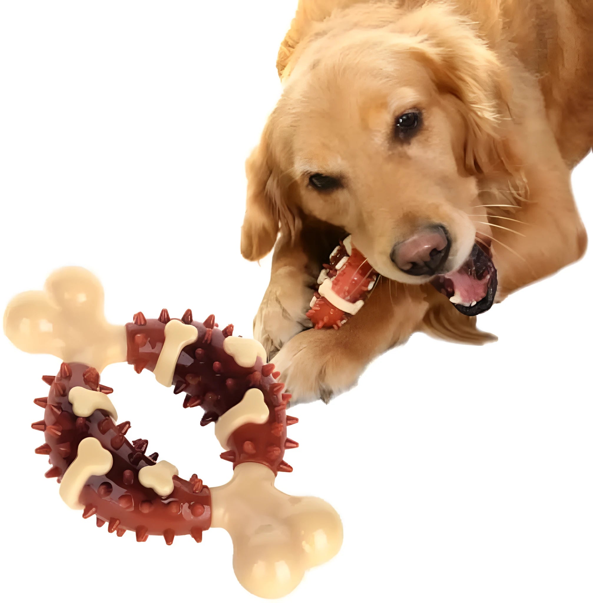 Natural rubber bone-shaped dog chew toy for teeth grinding, shown in large and small sizes.