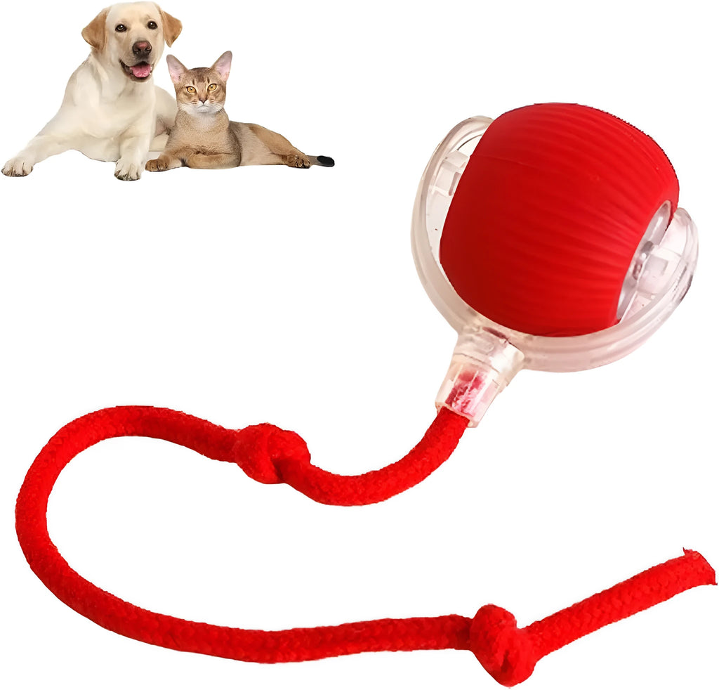 Grey interactive rolling ball pet toy with rope attachment measuring 6.5cm