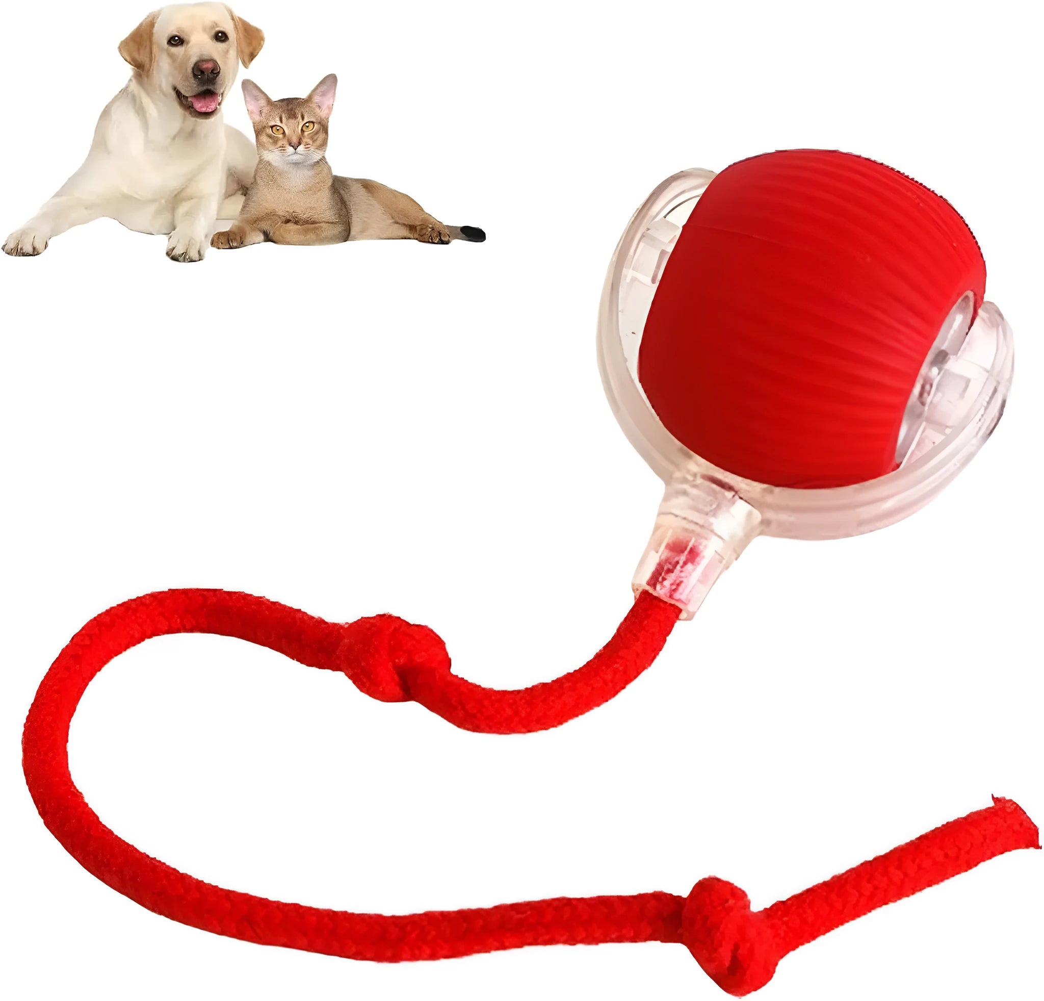 Grey interactive rolling ball pet toy with rope attachment measuring 6.5cm