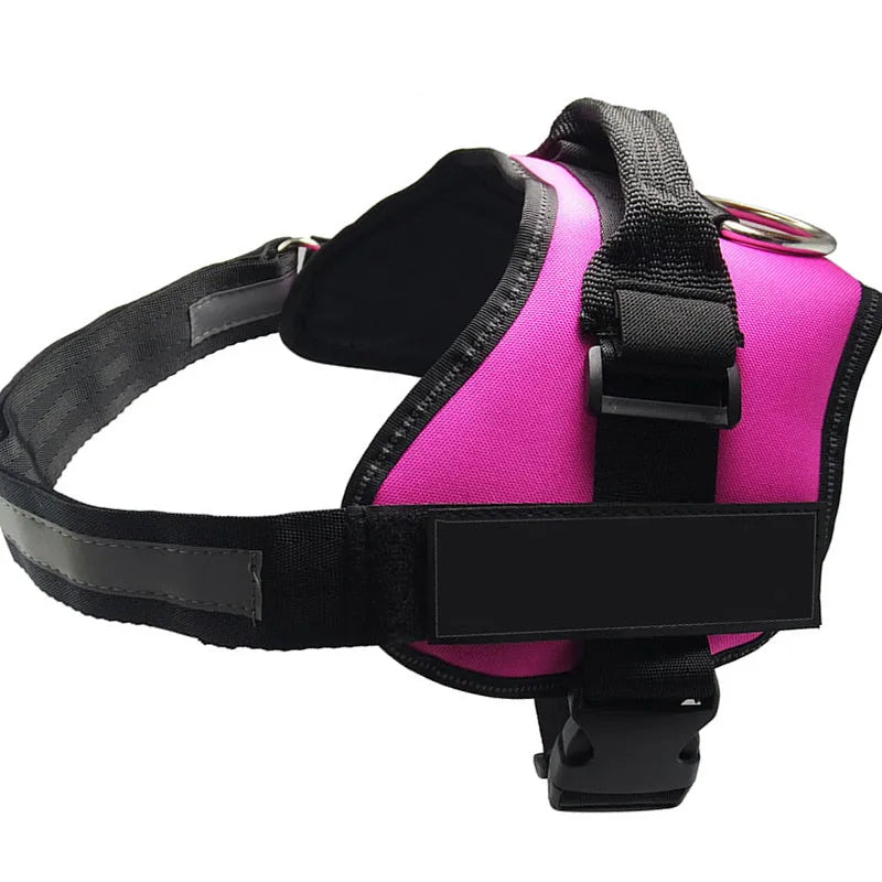 Personalised reflective nylon no-pull dog harness vest on a dog, showing adjustable straps and D-ring.