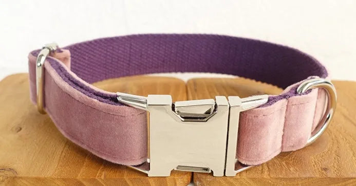 Pink purple nylon dog leash and collar set with reflective stripe on a black background, showing side view