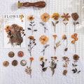 Set of 40 printed PET decorative stickers showing eight artistic styles including dried flowers and leaf specimens.