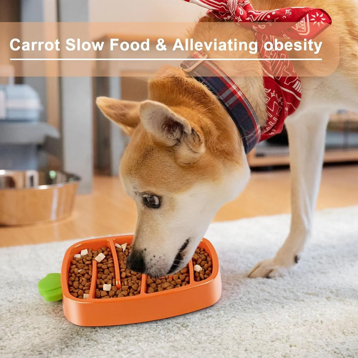 Carrot design slow feeder dog bowl for small and medium dogs, non-slip, melamine and silicone, sizes S and L
