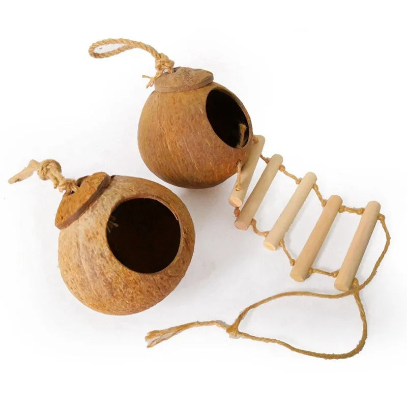 Natural coconut shell bird nest with ladder, scale texture, 11cm diameter, for parrots and hamsters