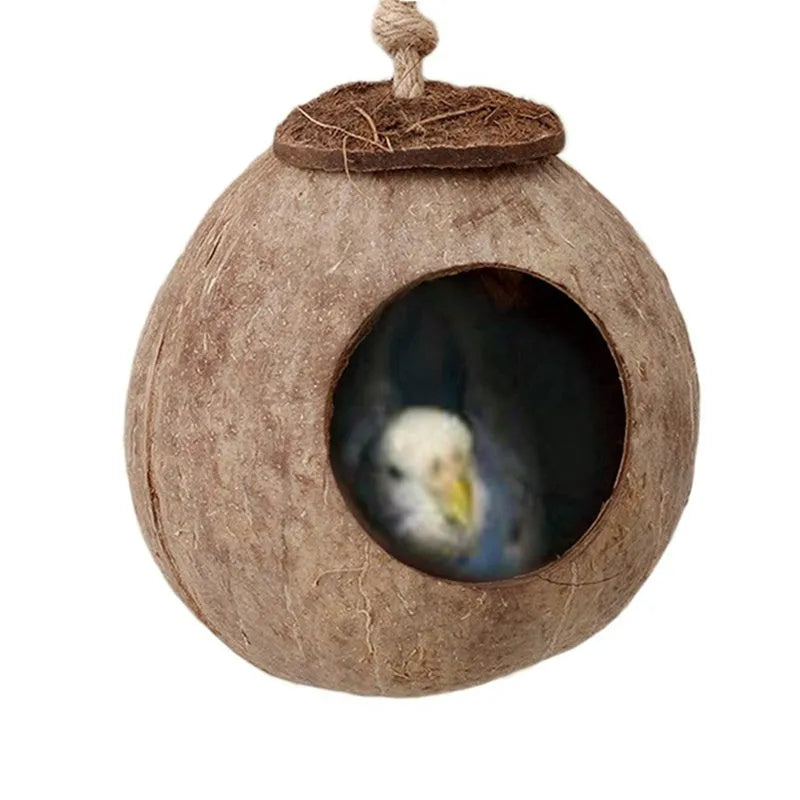 Natural coconut shell bird nest with ladder, scale texture, 11cm diameter, for parrots and hamsters