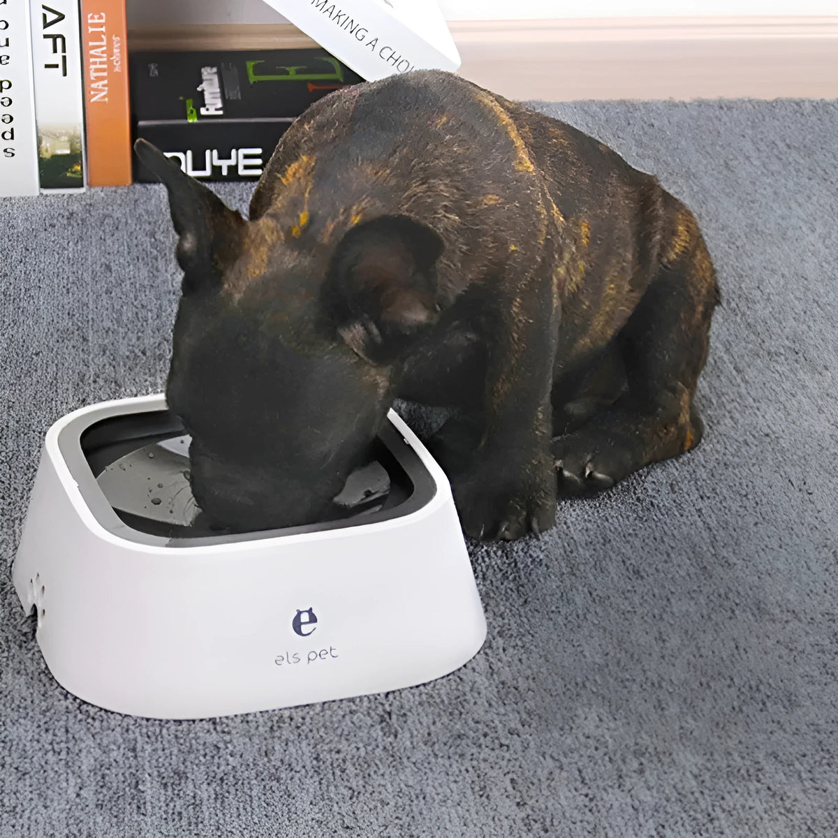 Non-wet mouth dog bowl with floating board, splash-proof cover, 1.5L capacity, ABS and PP, in pink, blue, gray or white