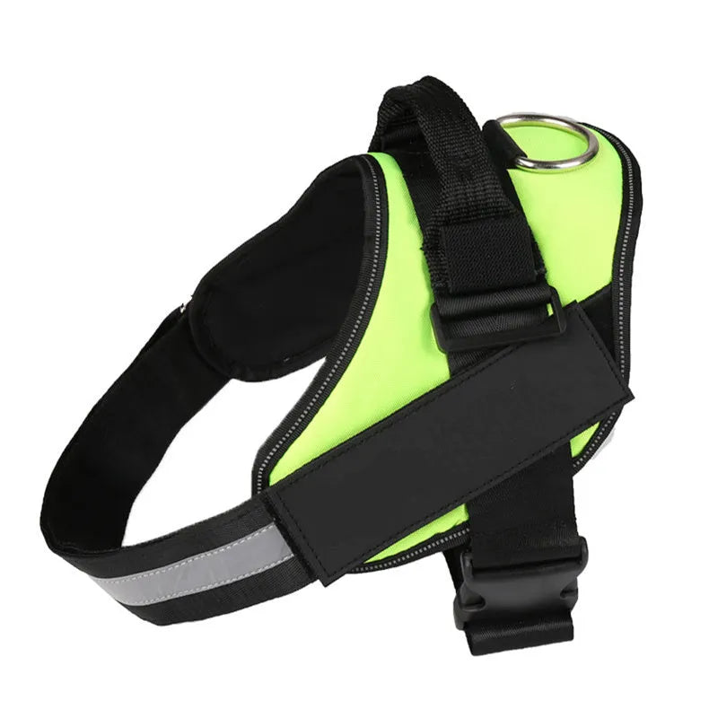 Personalised reflective nylon no-pull dog harness vest on a dog, showing adjustable straps and D-ring.