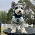 Blue and white reflective letter pet hoodie for cats and dogs in slim-fitting polyester