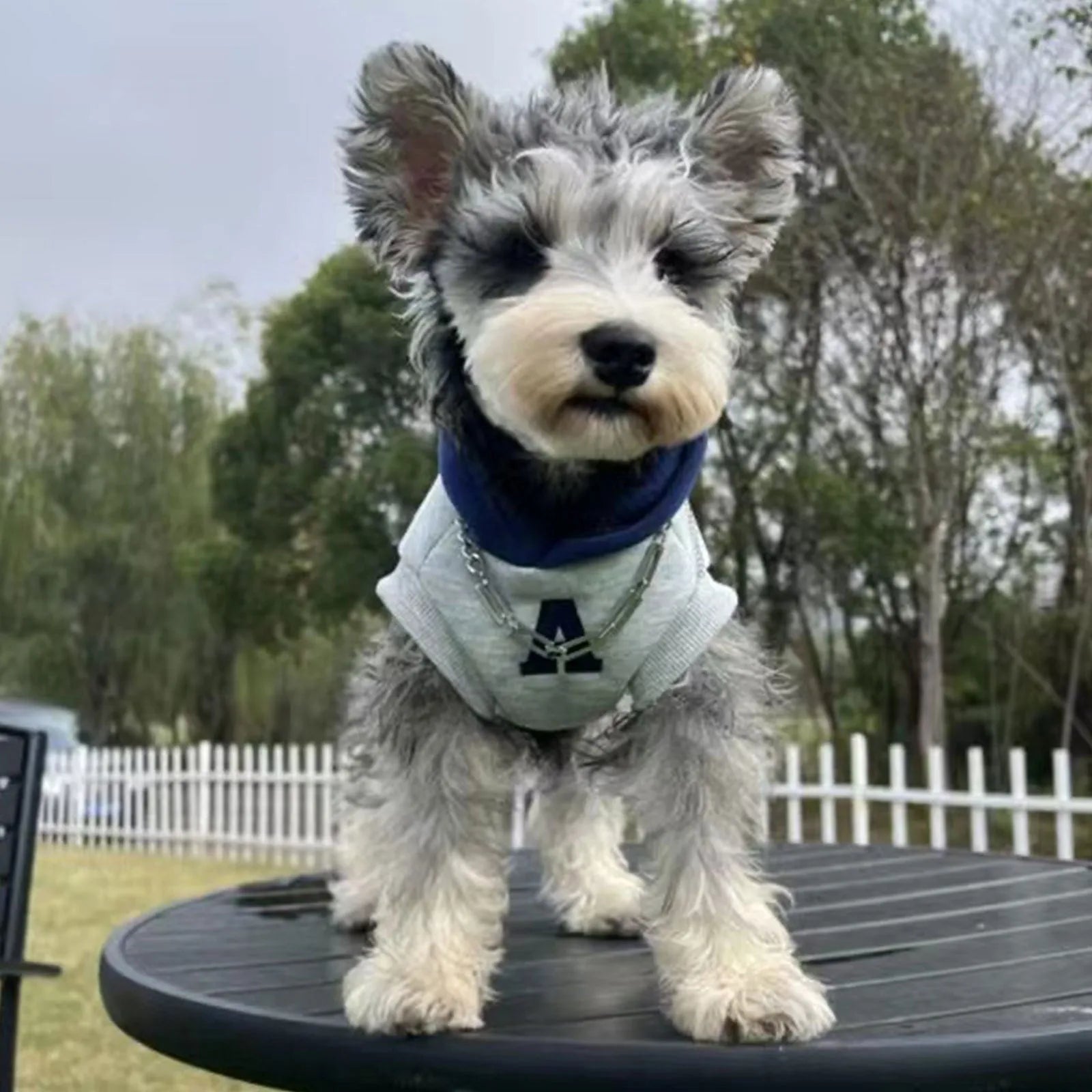 Blue and white reflective letter pet hoodie for cats and dogs in slim-fitting polyester