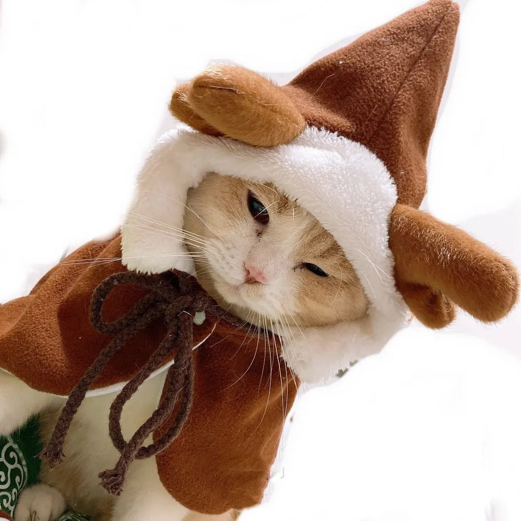 Red Christmas shawl cloak draped on small dog showing cloth fabric and seasonal pet clothing design