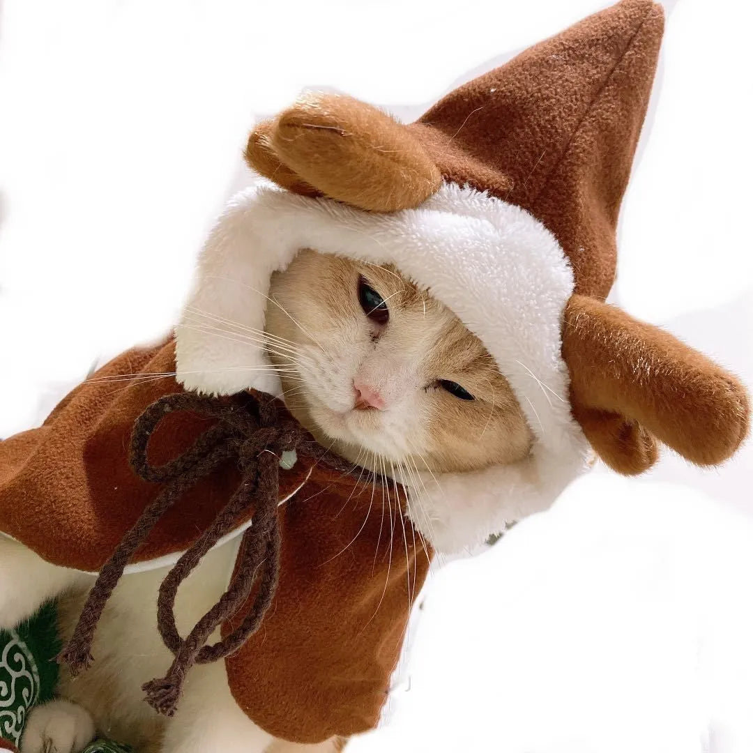 Red Christmas shawl cloak draped on small dog showing cloth fabric and seasonal pet clothing design