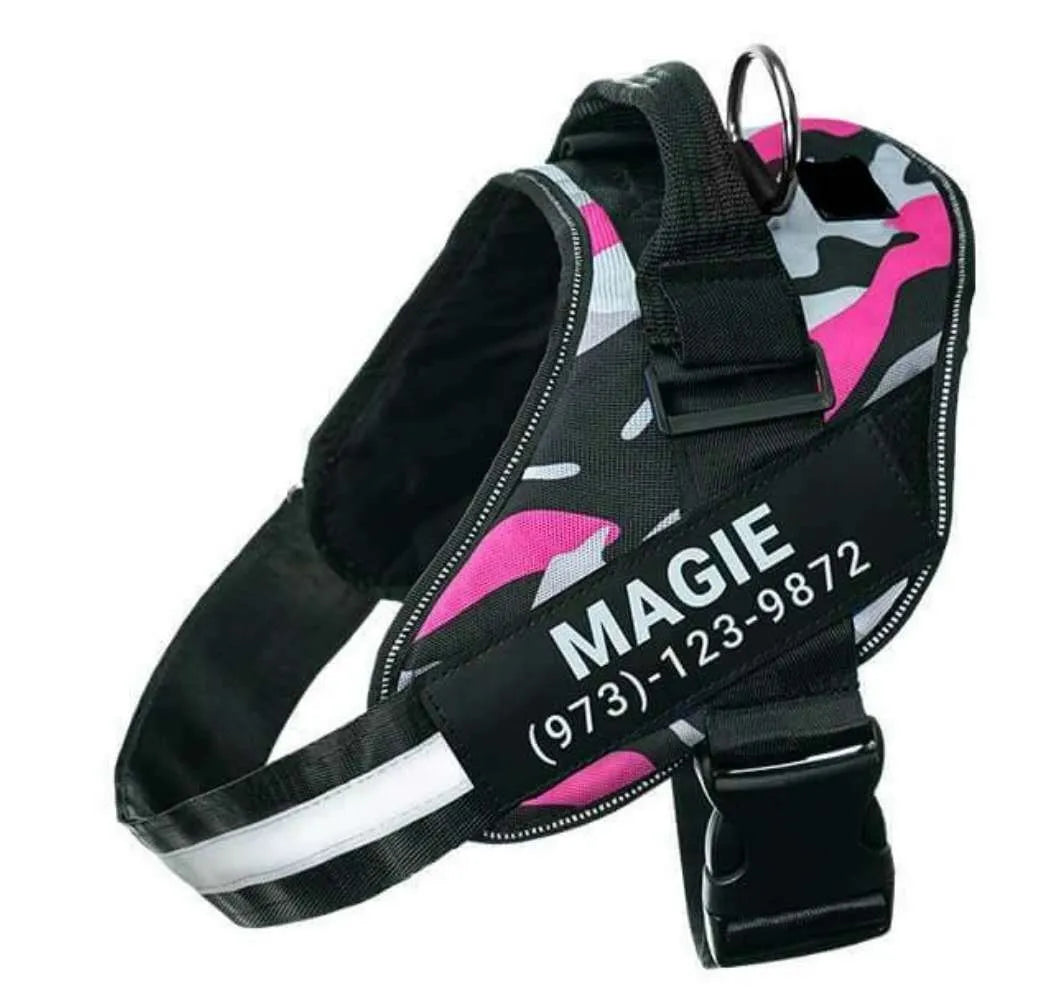 Personalised reflective nylon no-pull dog harness vest on a dog, showing adjustable straps and D-ring.
